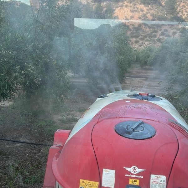 tratamientofitosanitario