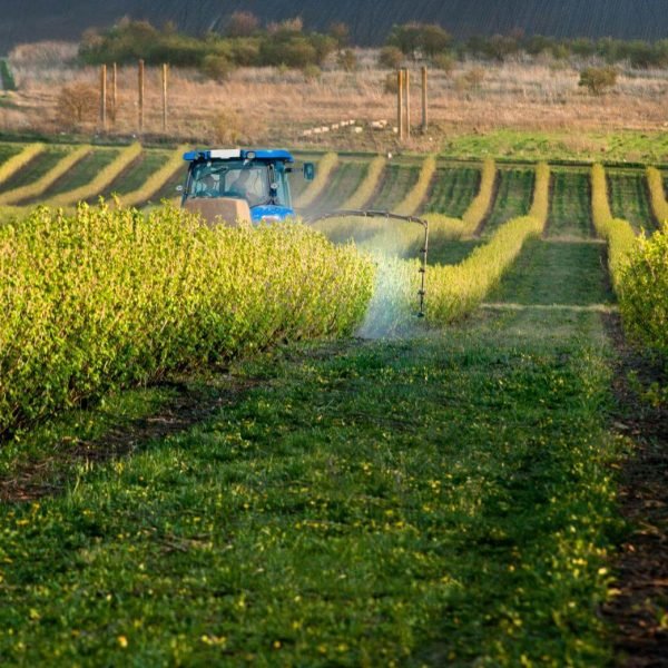 tratamientoherbicida